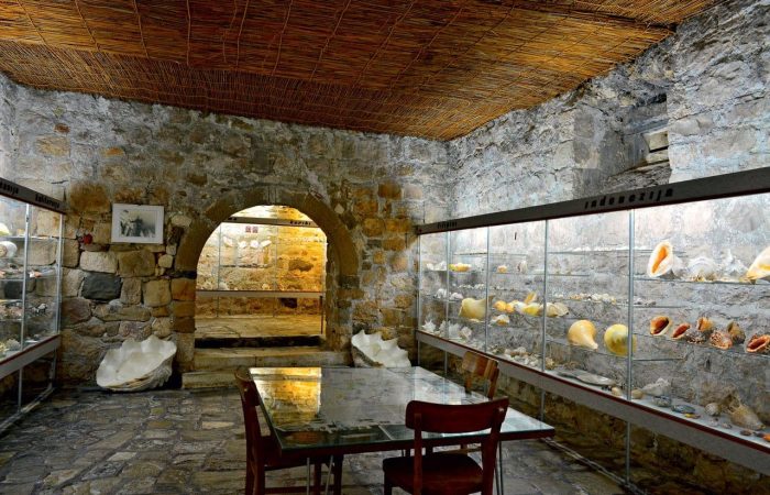 WhatsApp Image 2025-06-27 at 21.09.31_b69a4c4b